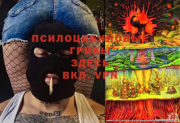 амф Горняк