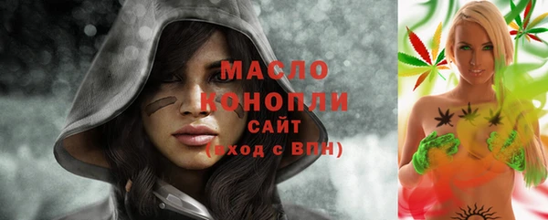амф Горняк