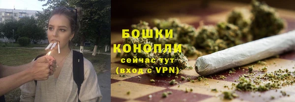 шишки Горно-Алтайск