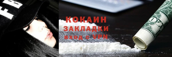 амф Горняк