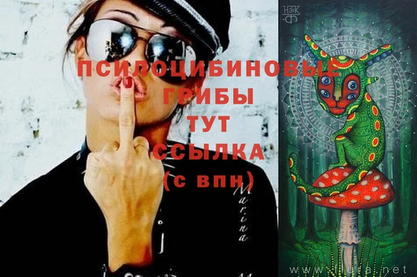 амф Горняк