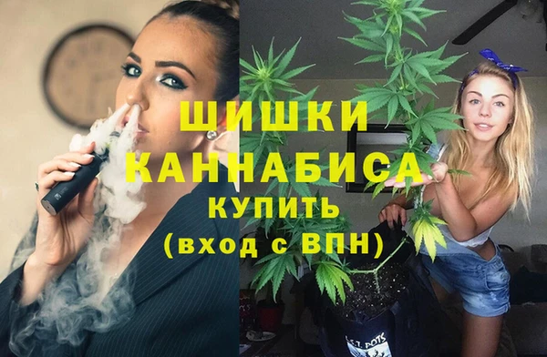 шишки Горно-Алтайск