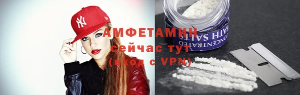 амф Горняк