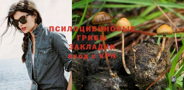 амф Горняк