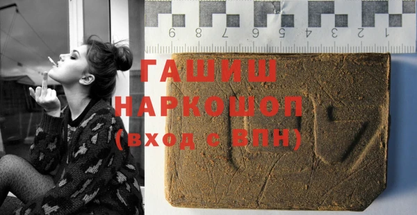 шишки Горно-Алтайск