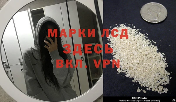шишки Горно-Алтайск