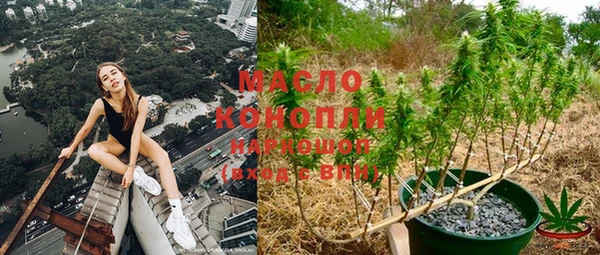 амф Горняк