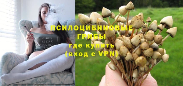 марки nbome Горнозаводск