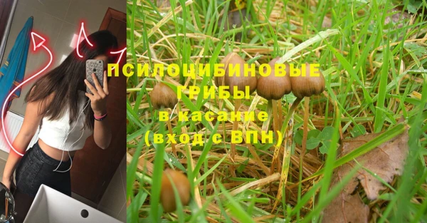 шишки Горно-Алтайск