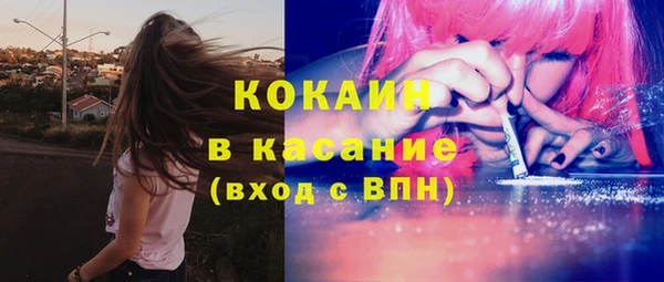 амф Горняк