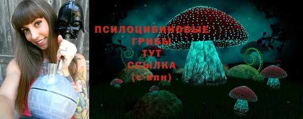шишки Горно-Алтайск