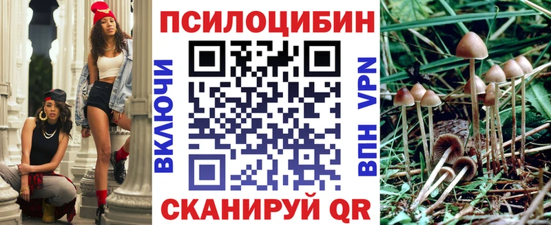 Купить  Троицк  Псилоцибиновые грибы GOLDEN TEACHER 